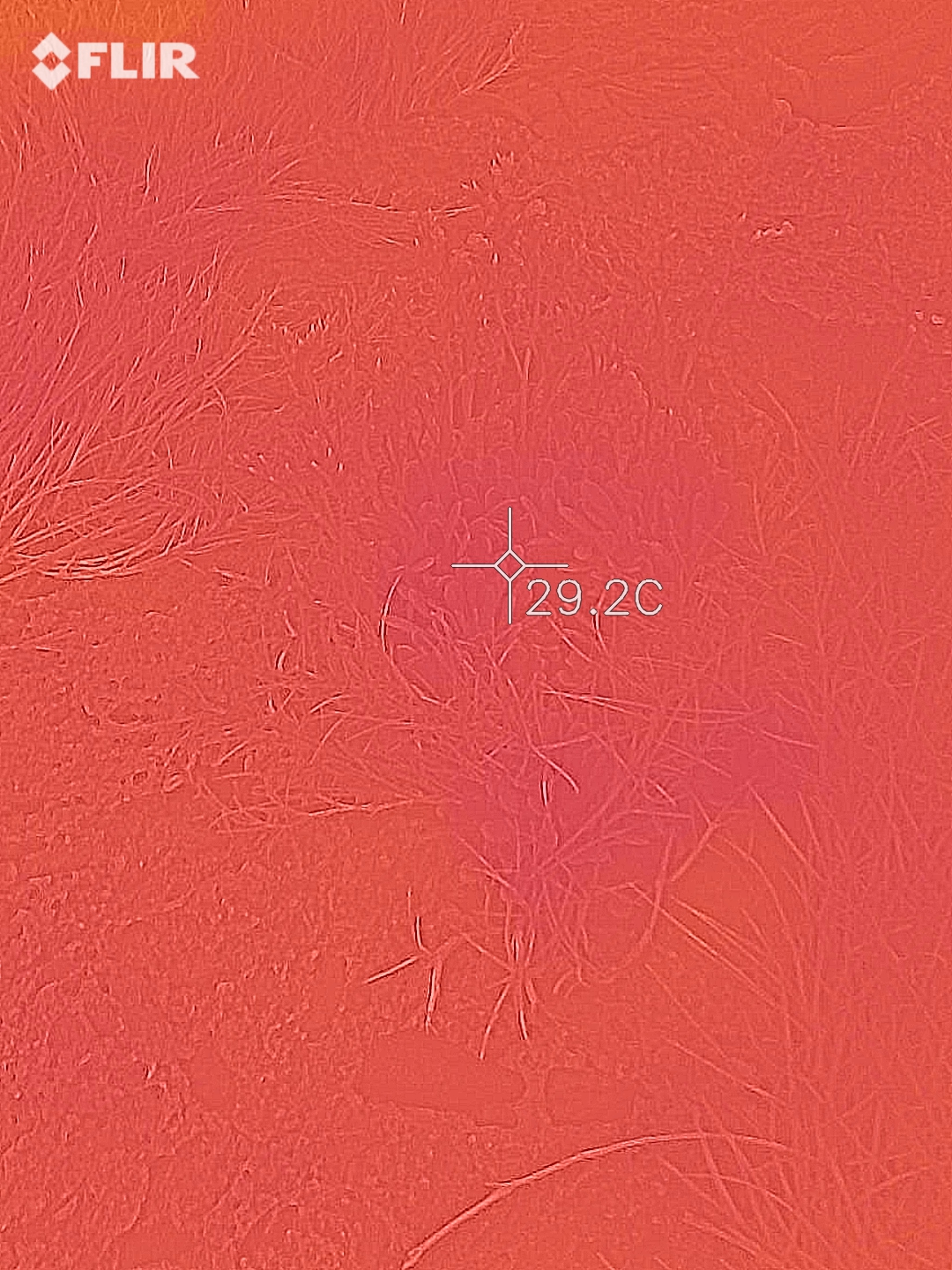 30.3000872,130.652856